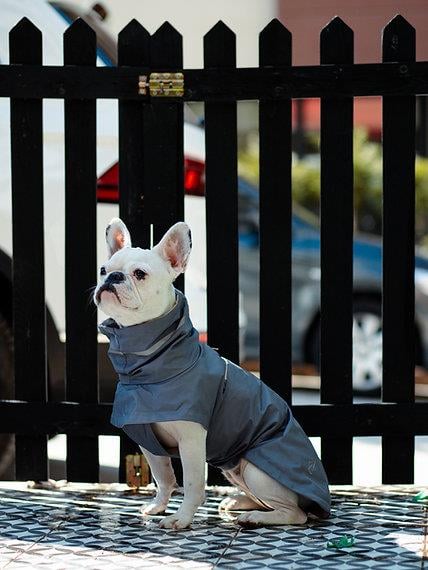 Asky&Erd Raincoat | Steel Grey Köpek Yağmurluğu