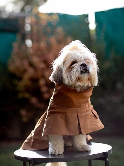 Asky&Erd Raincoat Trenchcoat | Cinnamon Köpek Yağmurluğu 