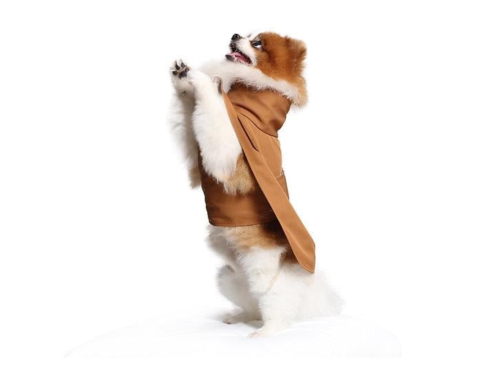 Asky&Erd Raincoat Trenchcoat | Cinnamon Köpek Yağmurluğu 