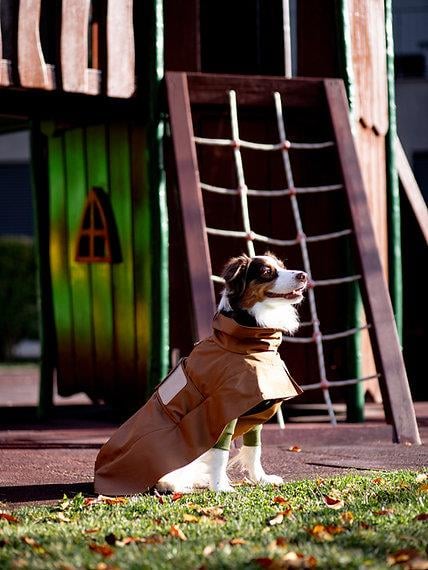 Asky&Erd Raincoat Trenchcoat | Cinnamon Köpek Yağmurluğu 
