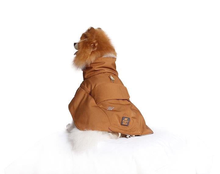 Asky&Erd Raincoat Trenchcoat | Cinnamon Köpek Yağmurluğu 