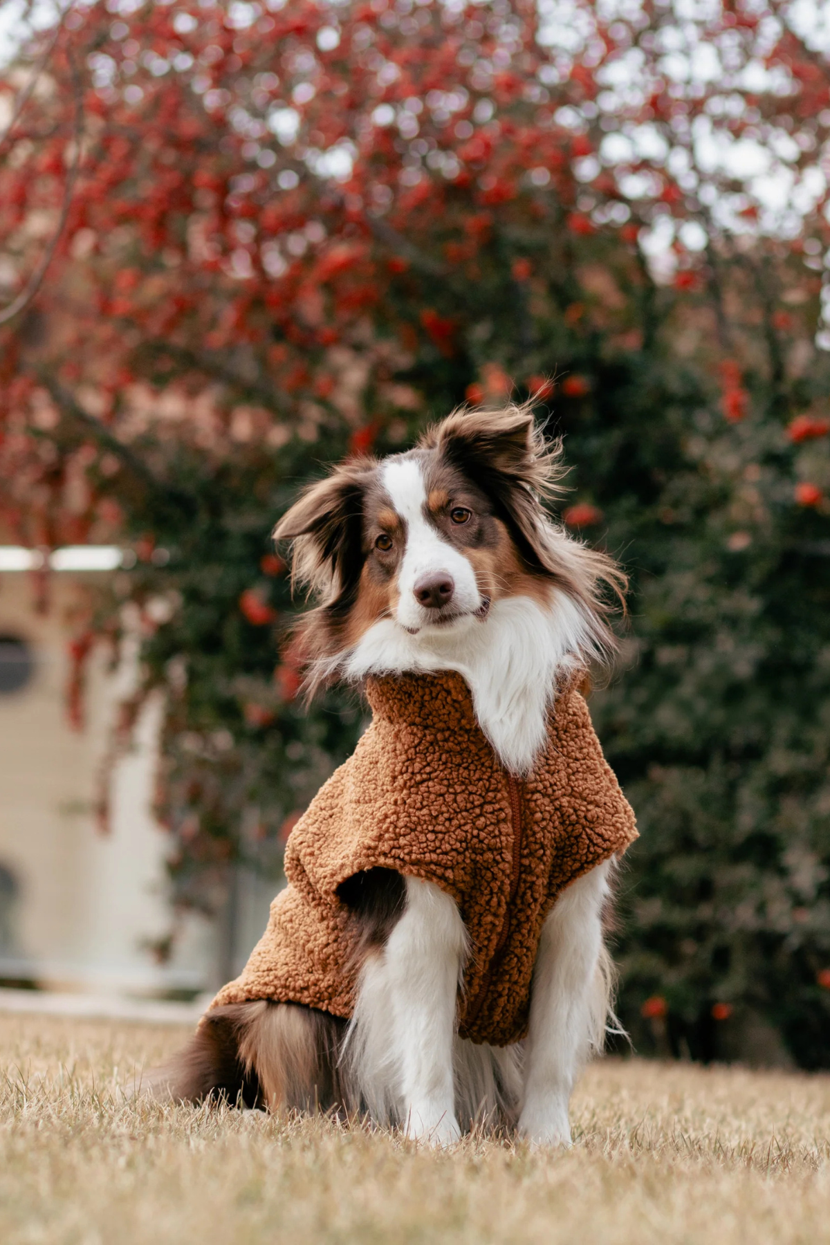 Asky&Erd Zippered Sherpa Vest | Caramel Cloud
