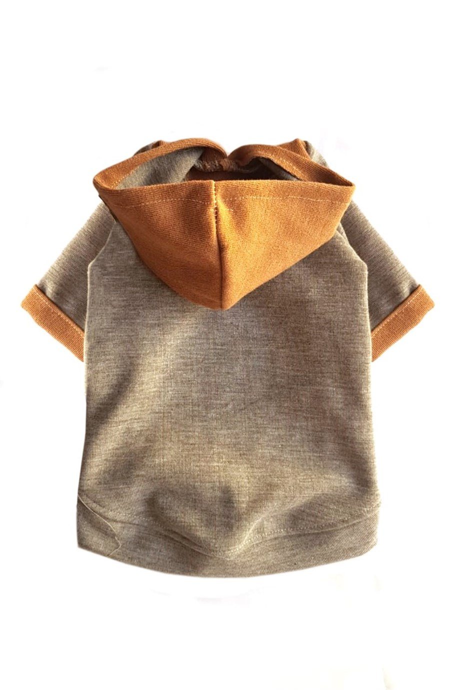 Chili Crash Köpek Sweatshirt