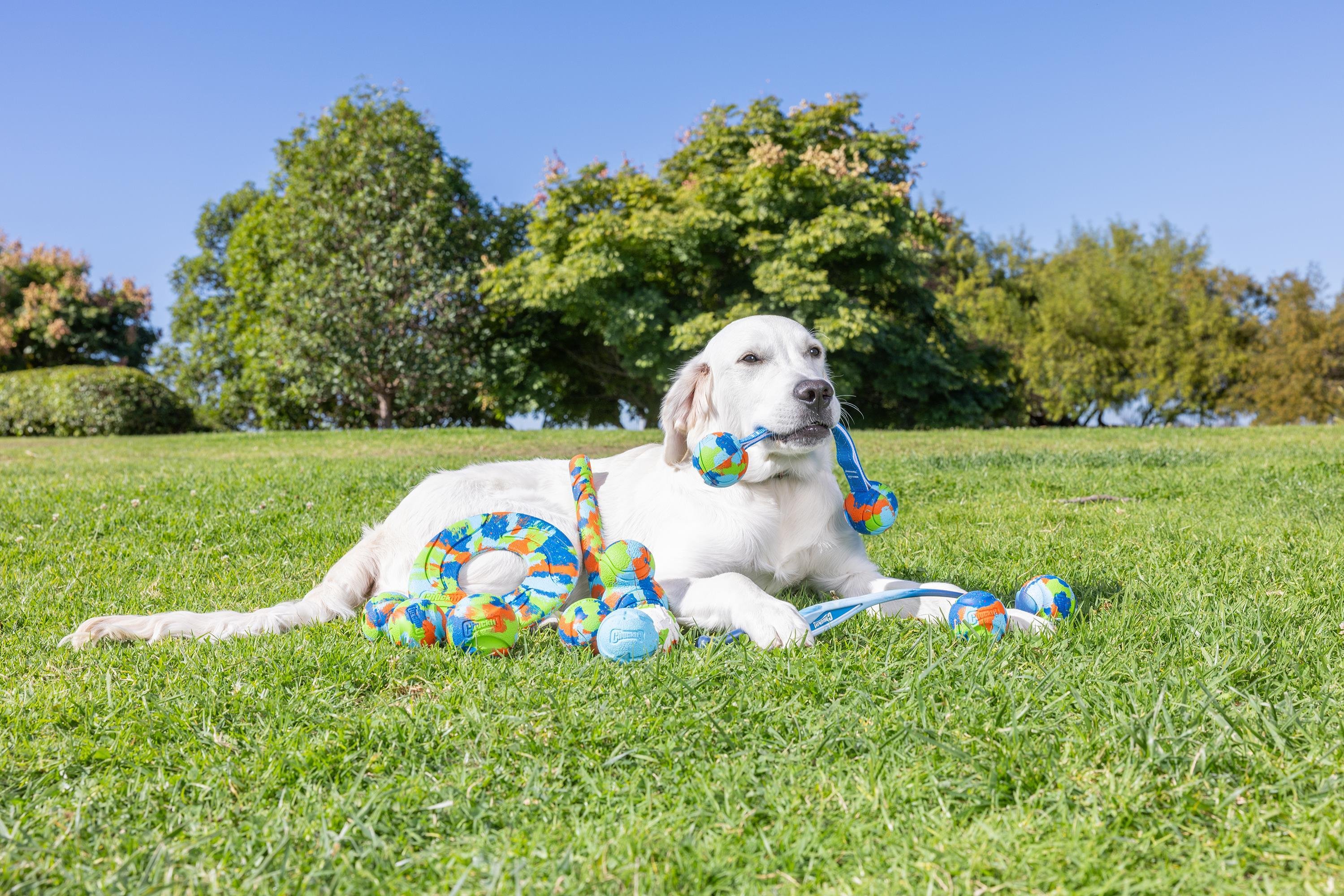 Chuckit! Eco Fetch Stick Doğa Dostu Köpek Oyuncağı