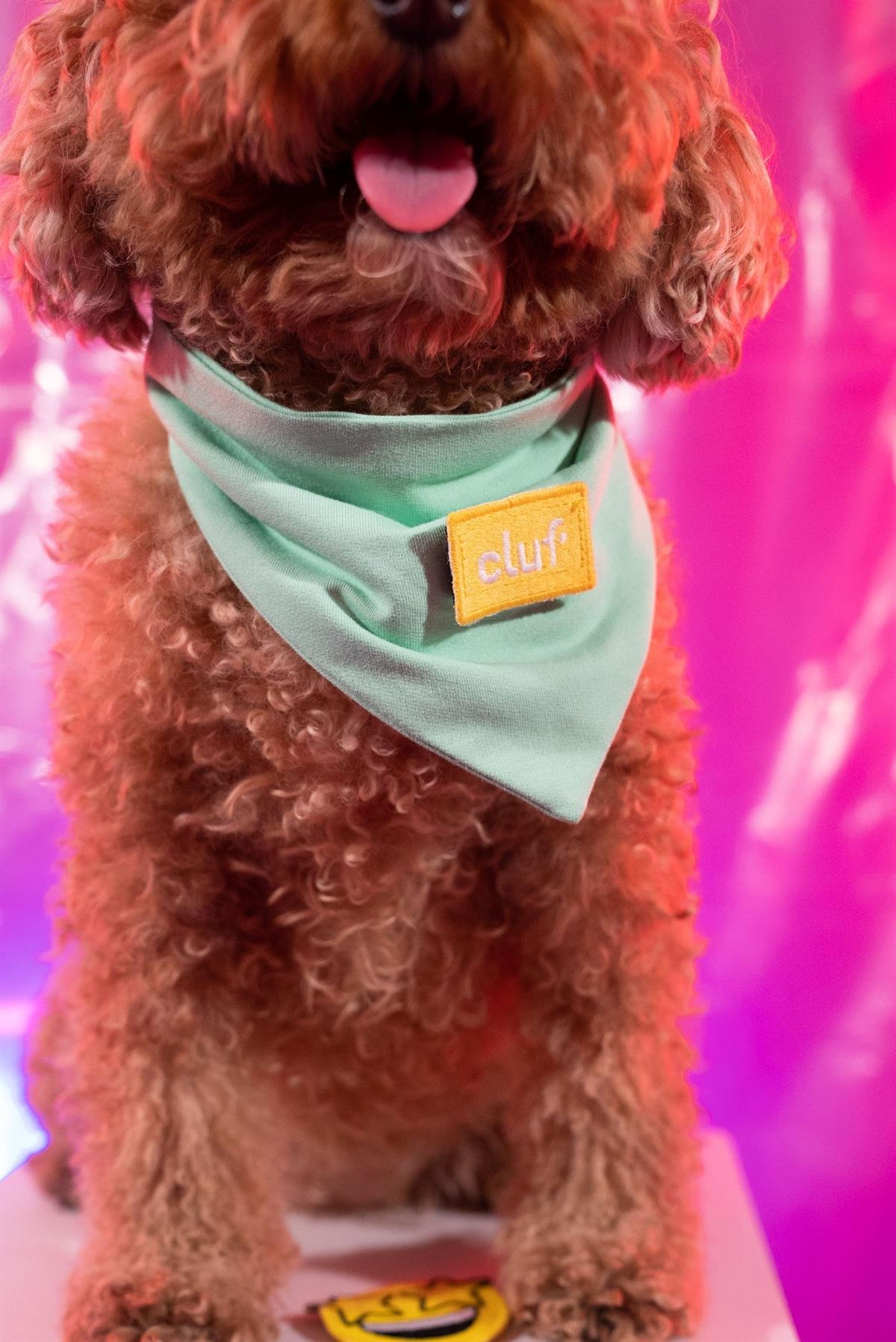 Cluf PetMood Bandana Mint Yeşili