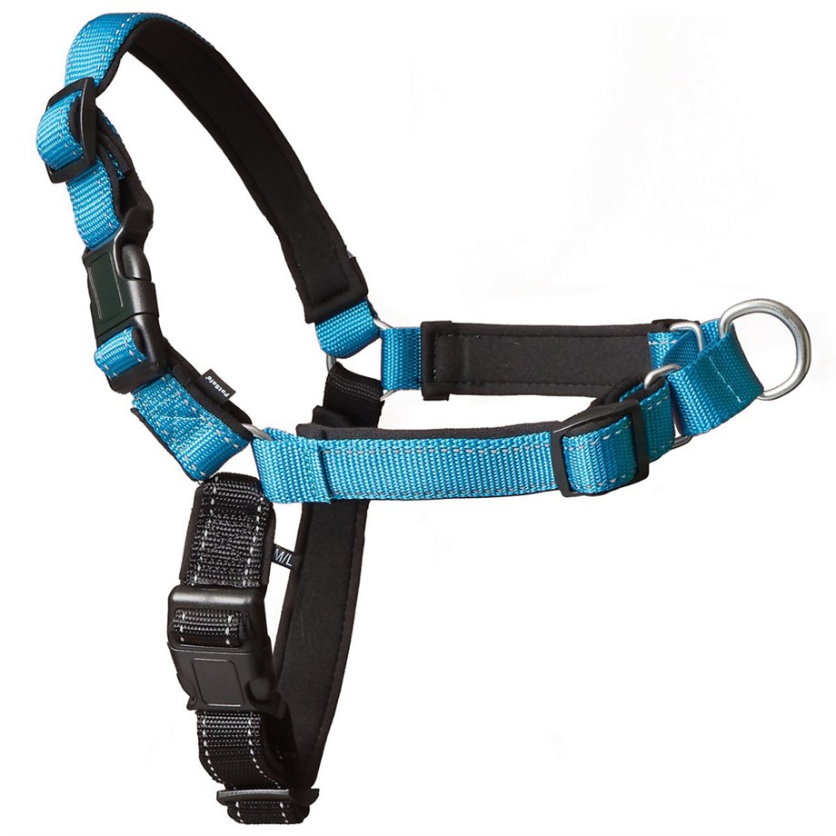 Deluxe Easy Walk Harness Köpek Göğüs Tasması Mavi