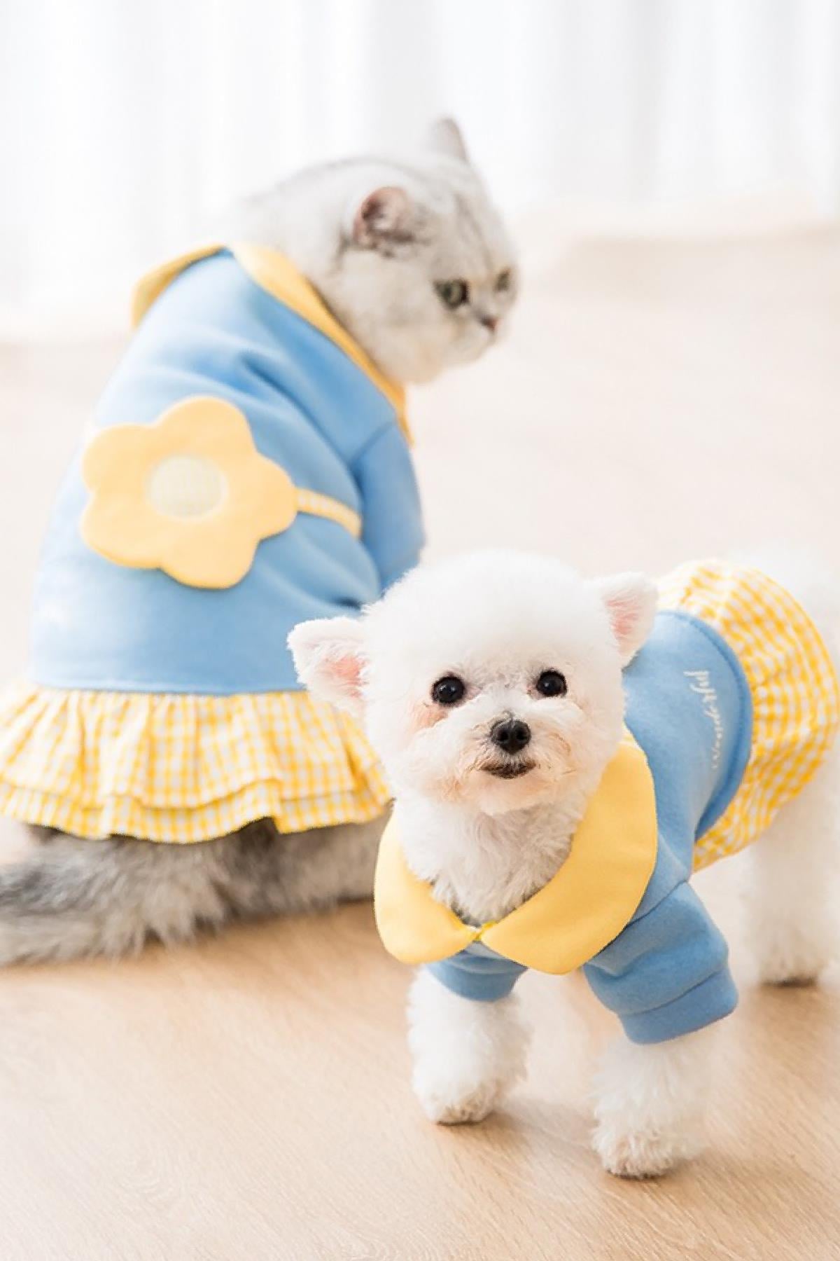 dolcepets-daisy-style-papatyali-kopek--7d-4a0.jpg