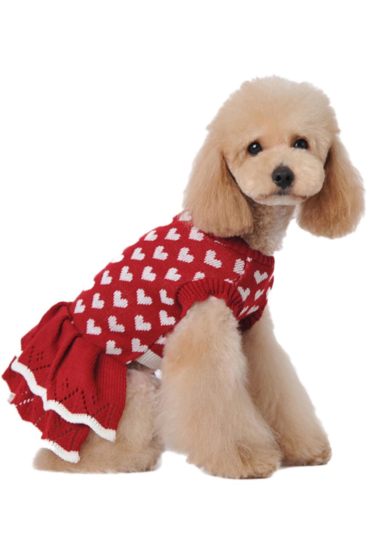 dolcepets-heart-dress-kalp-elbise-kirm-8-16e6.jpg