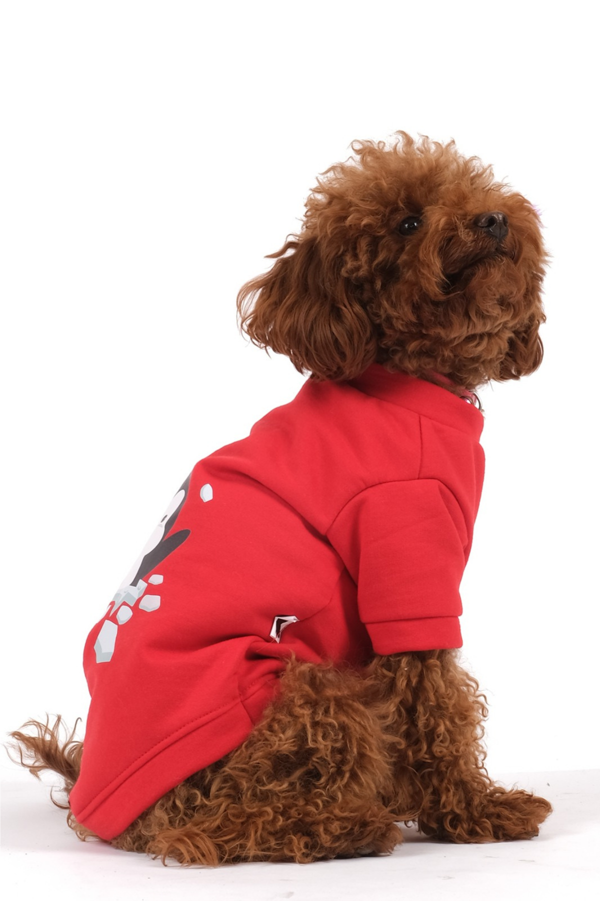 Doredog Kırmızı Penguen Baskılı Sweatshirt