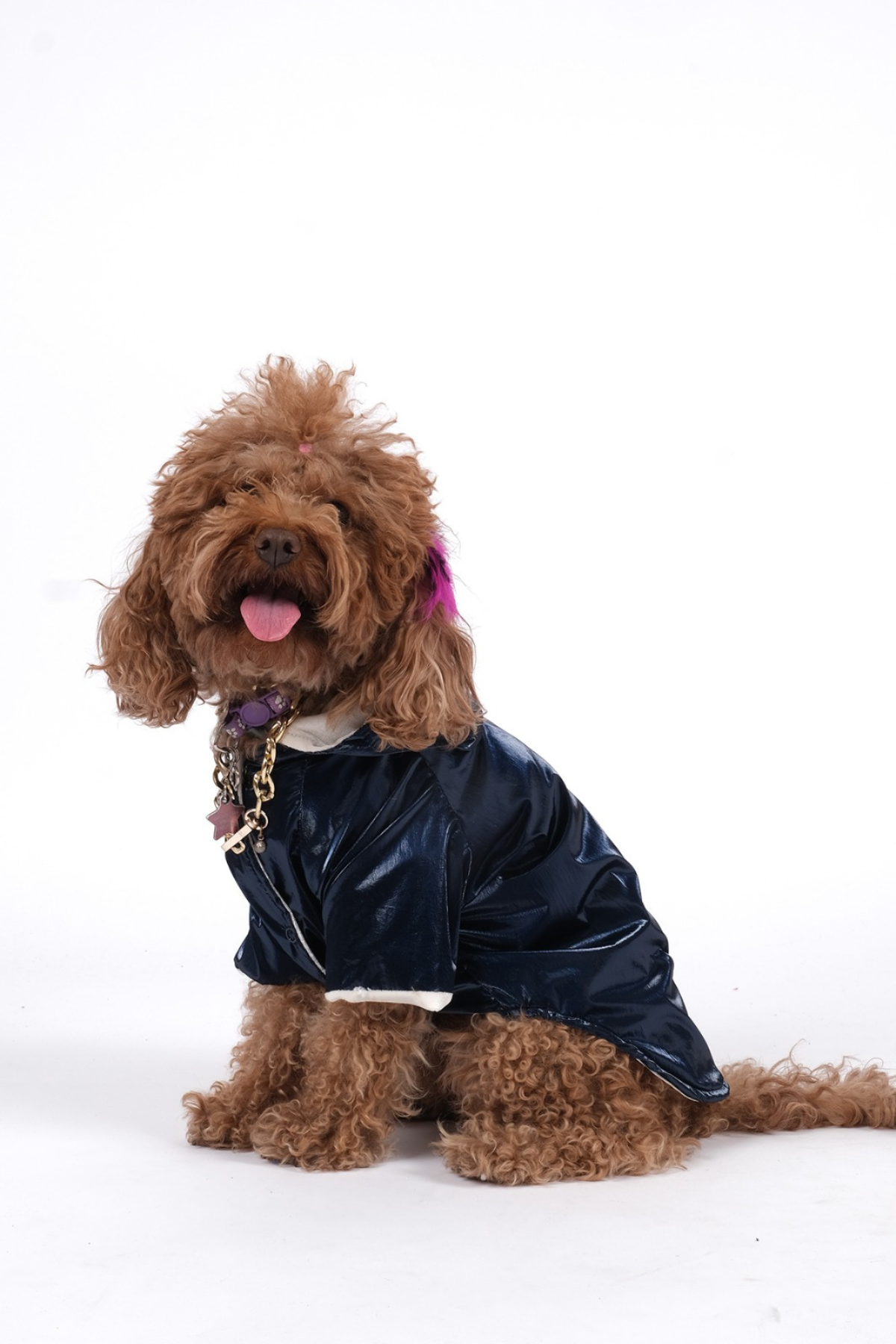 Doredog Lacivert Parlak Mont