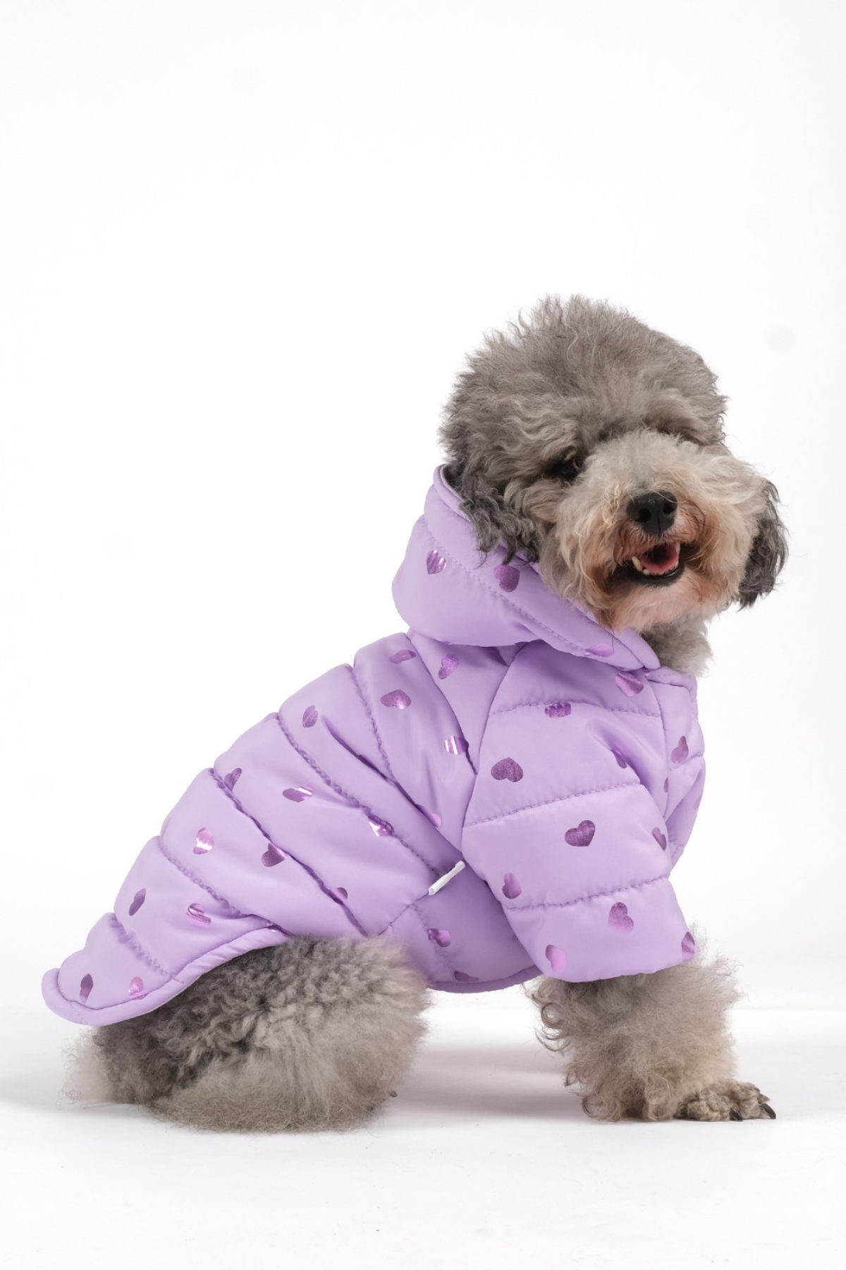 Doredog Lila Kalpli Mont