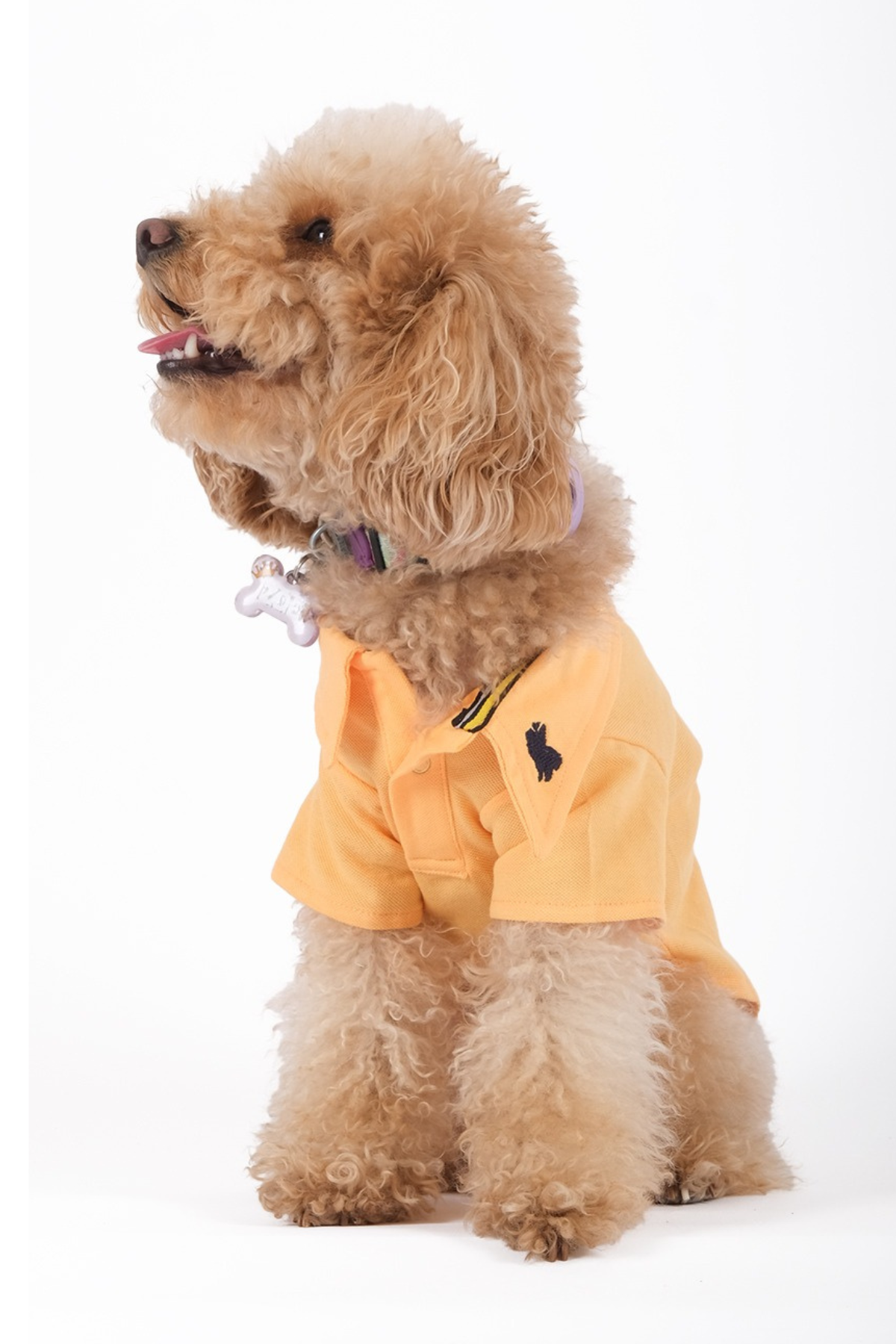 Doredog Turuncu Polo Yaka Tshirt