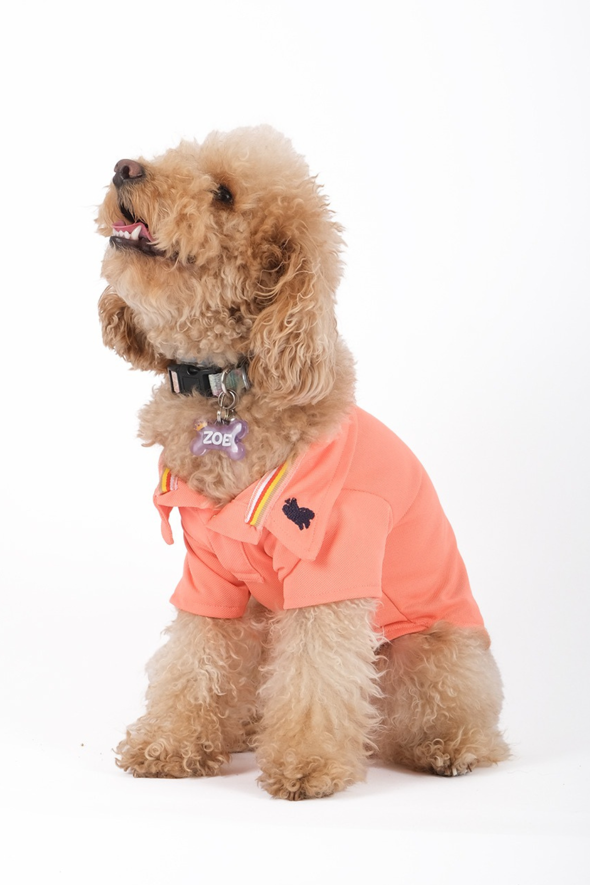 Doredog Yavruağzı Polo Yaka Tshirt