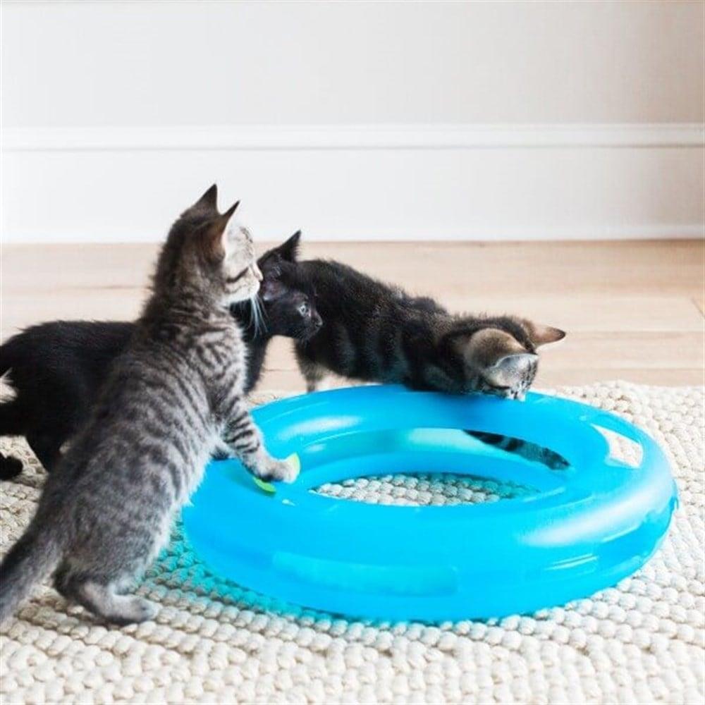 Fat Cat Crazy Circle Kedi Oyuncağı