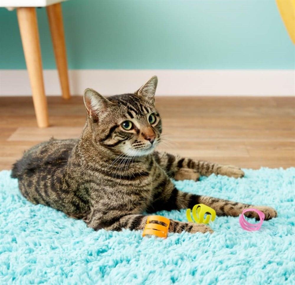 Fat Cat Looney Loops Kedi Oyuncağı
