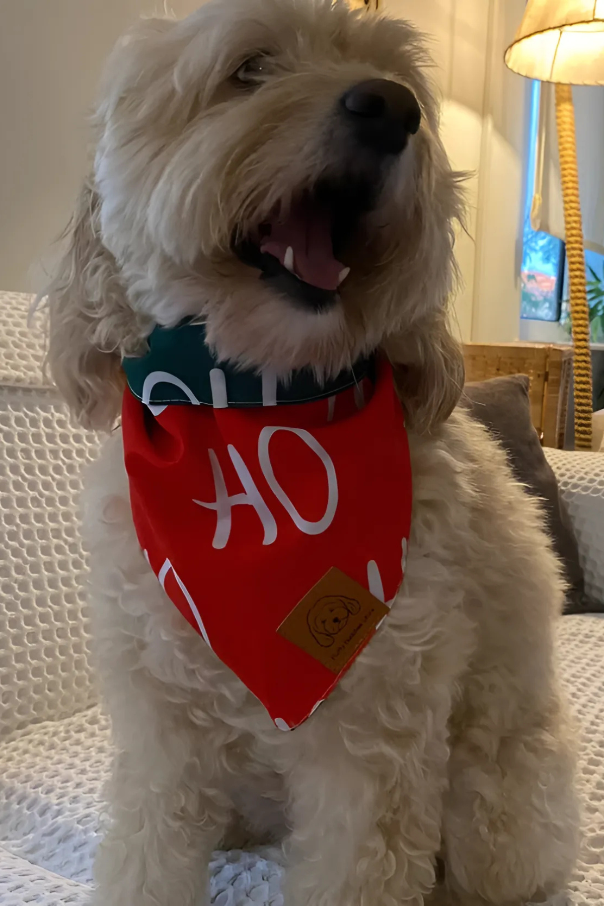 Fluffy Buddies Store Hohoho Yılbaşı Bandanası