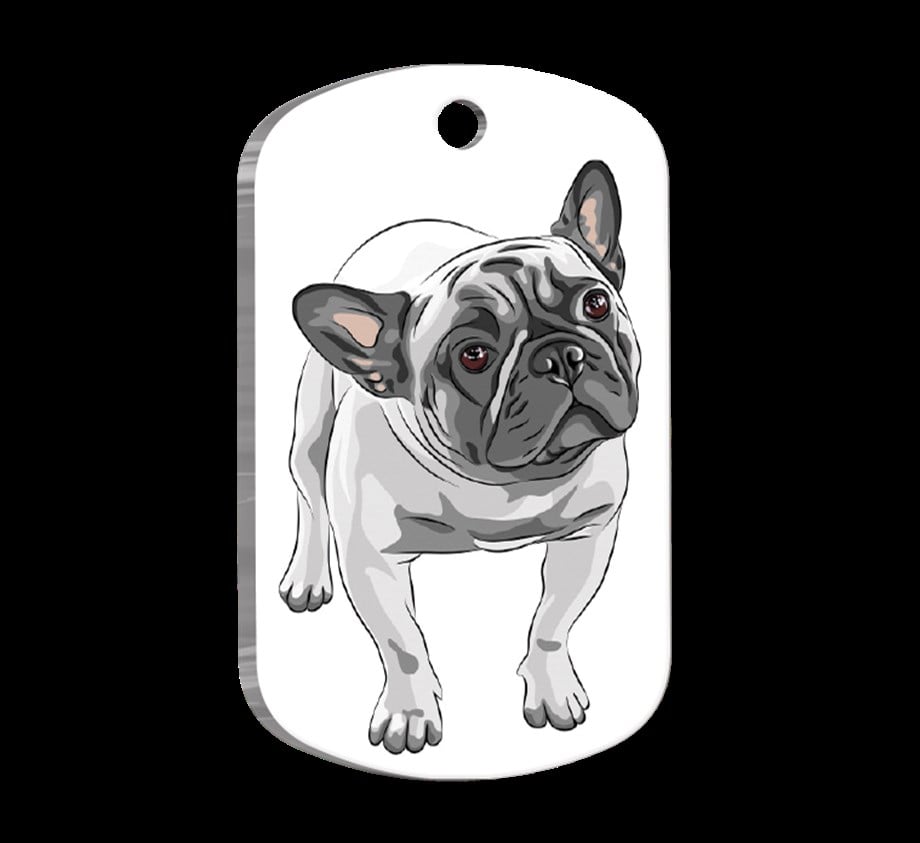 French Bulldog 3 Resimli Köpek Künyesi
