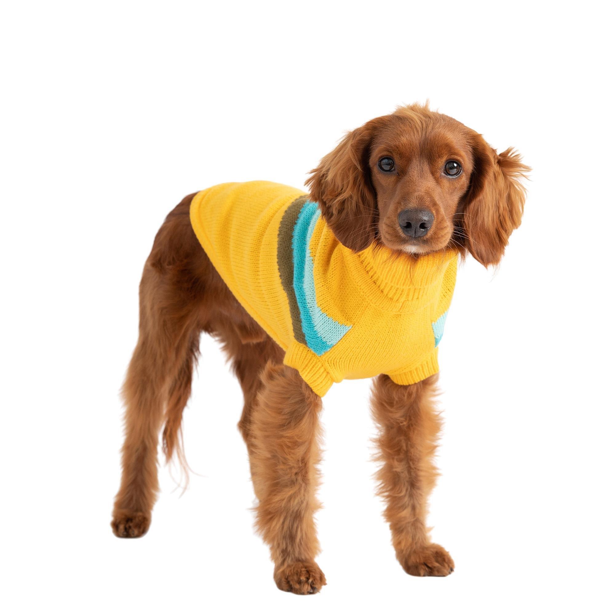 GF PET Alpine Köpek Süveteri - Sarı