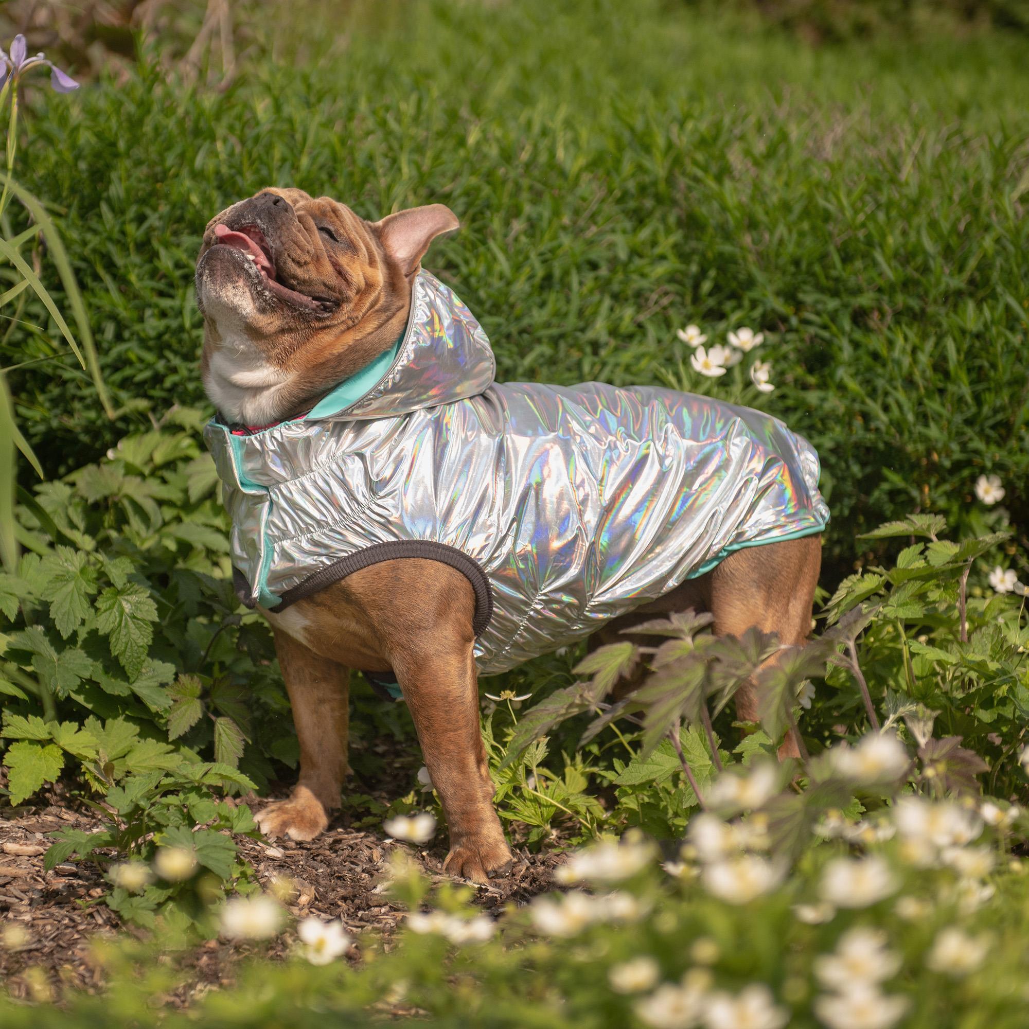 GF PET Çift Taraflı Köpek Yağmurluğu - Aqua