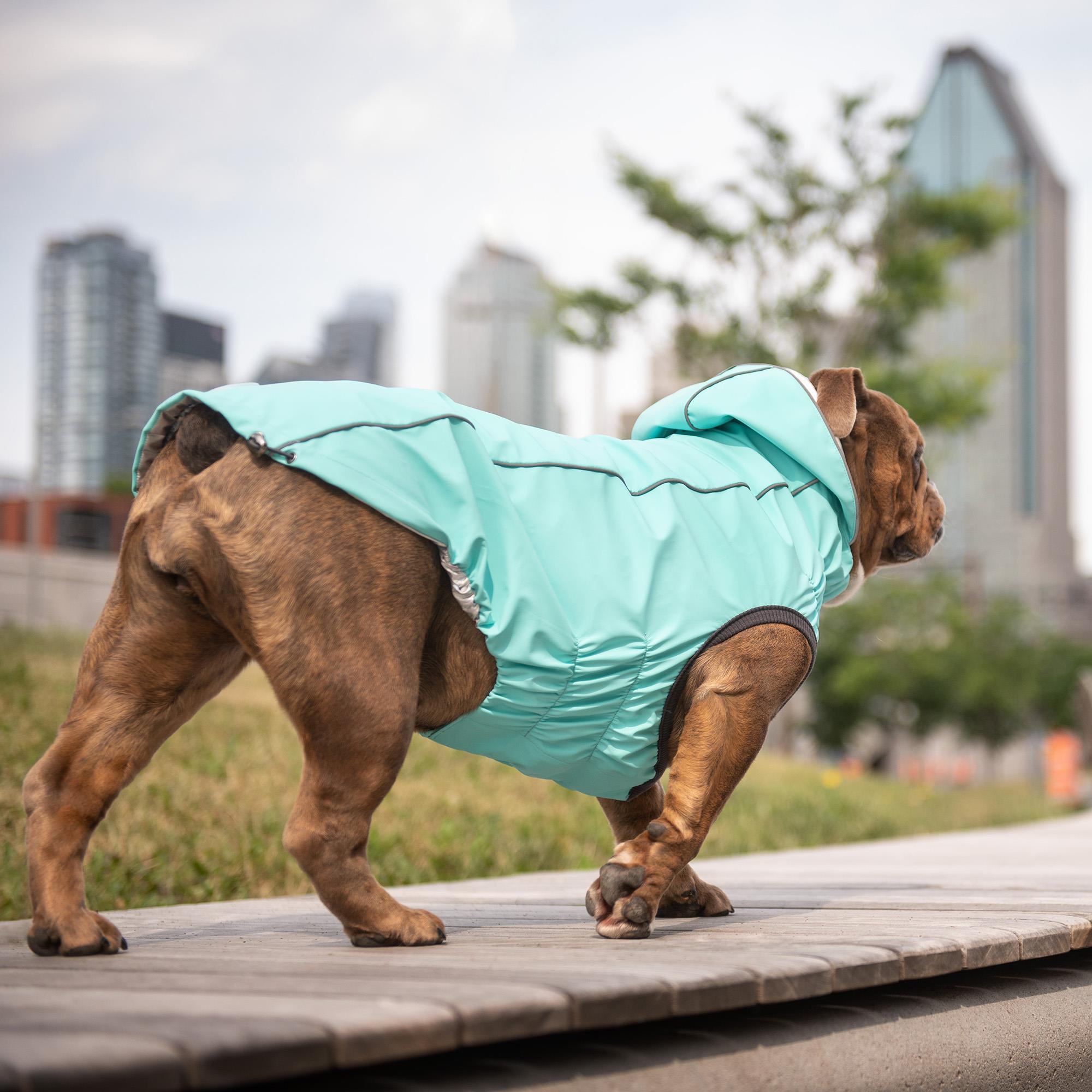 GF PET Çift Taraflı Köpek Yağmurluğu - Aqua