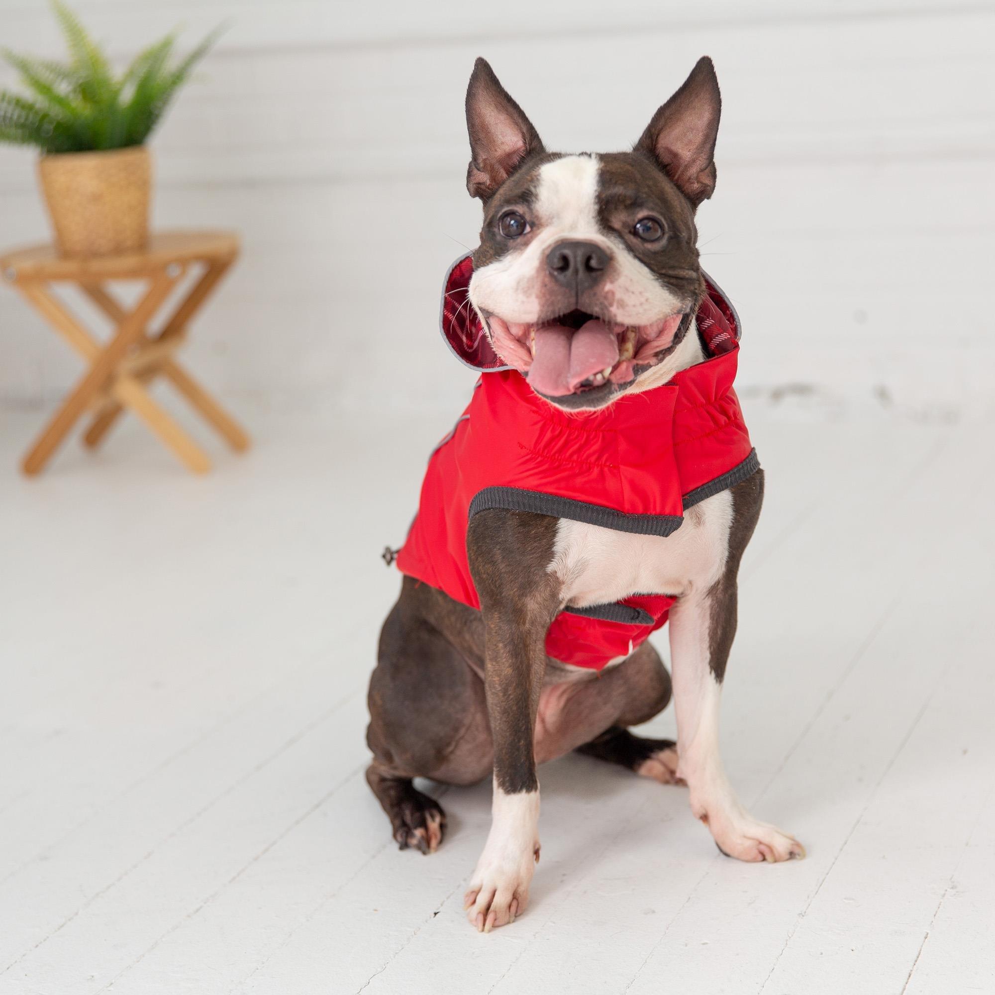 GF PET Çift Taraflı Köpek Yağmurluğu - Kırmızı