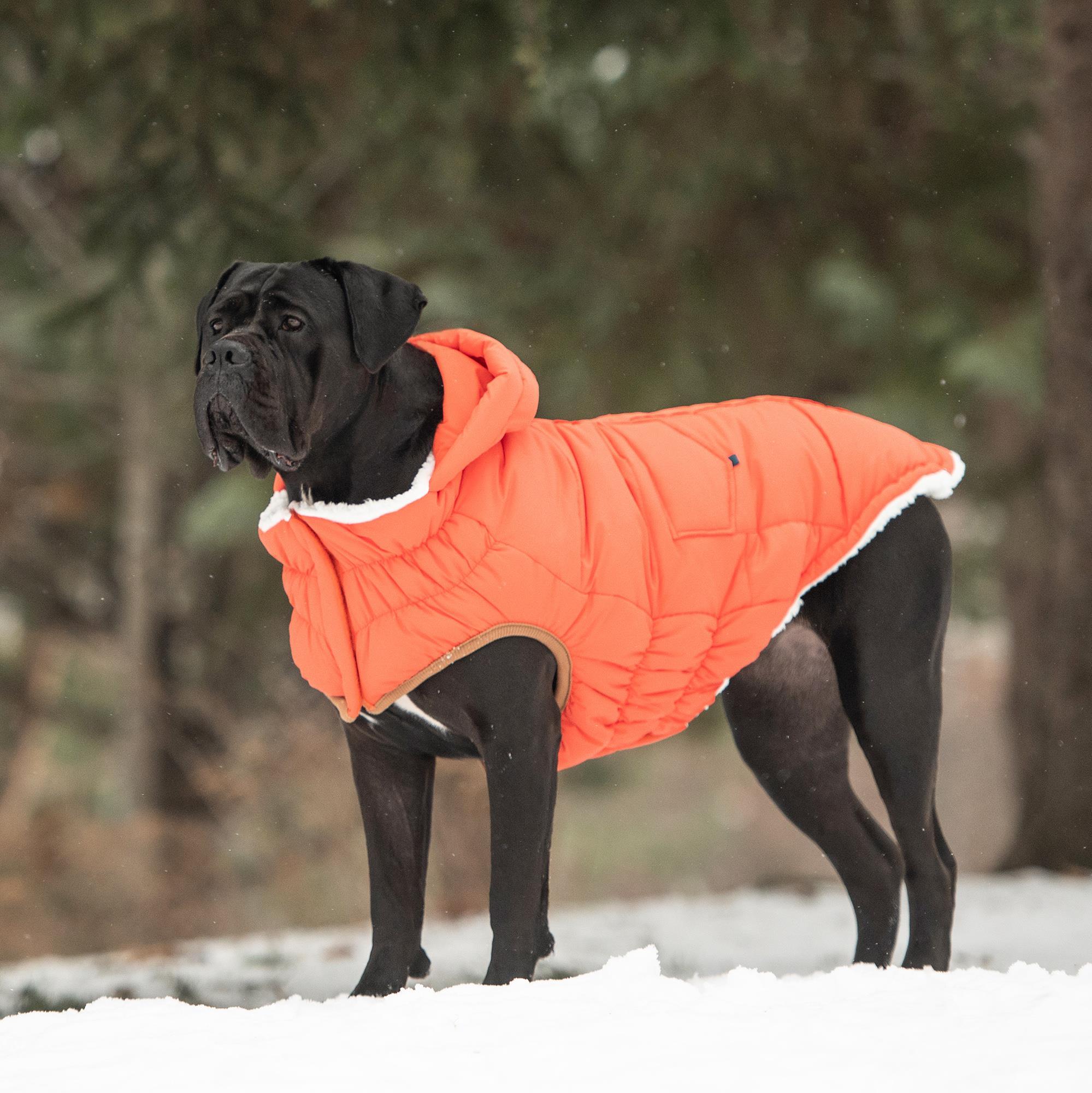 GF PET Super Puff Parka Köpek Montu - Turuncu
