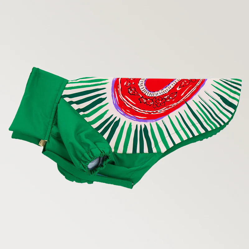 Godoist Raincaot Series Milano Köpek Yağmurluğu