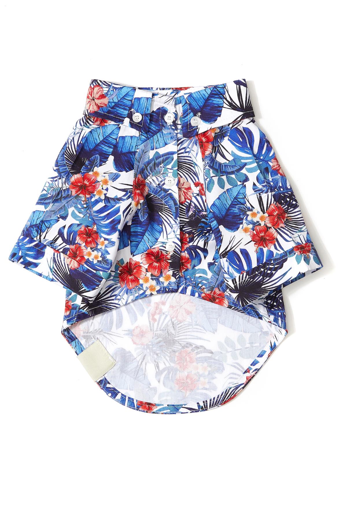 hawaii-shirt-682390.jpg