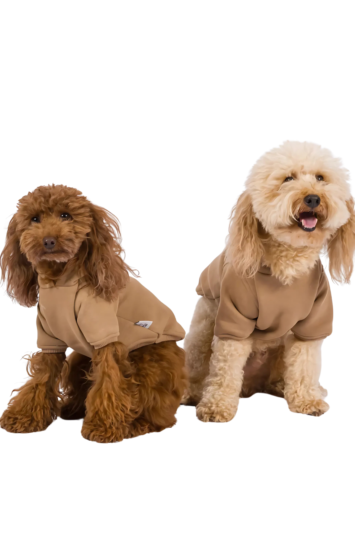 Kajuland Maura Köpek Hoodie Sütlü Kahve 