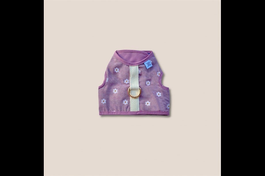 Lil.co Have A Nice Day Harness Köpek Göğüs Tasması Rose