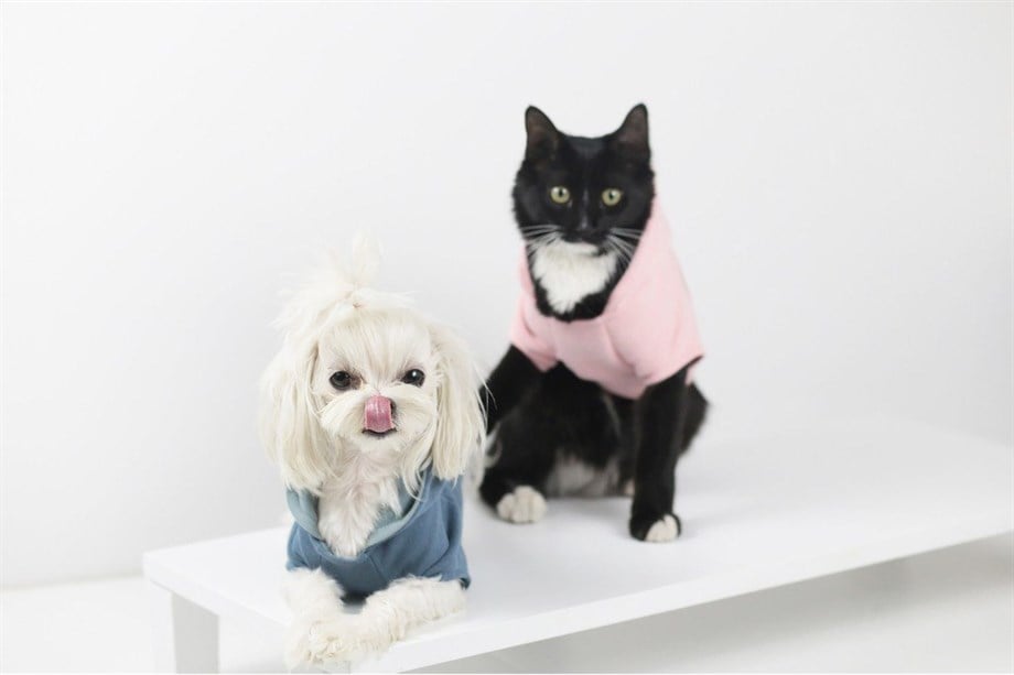 Lil.co Oh Honey Hoodie Köpek Sweatshirt Pembe