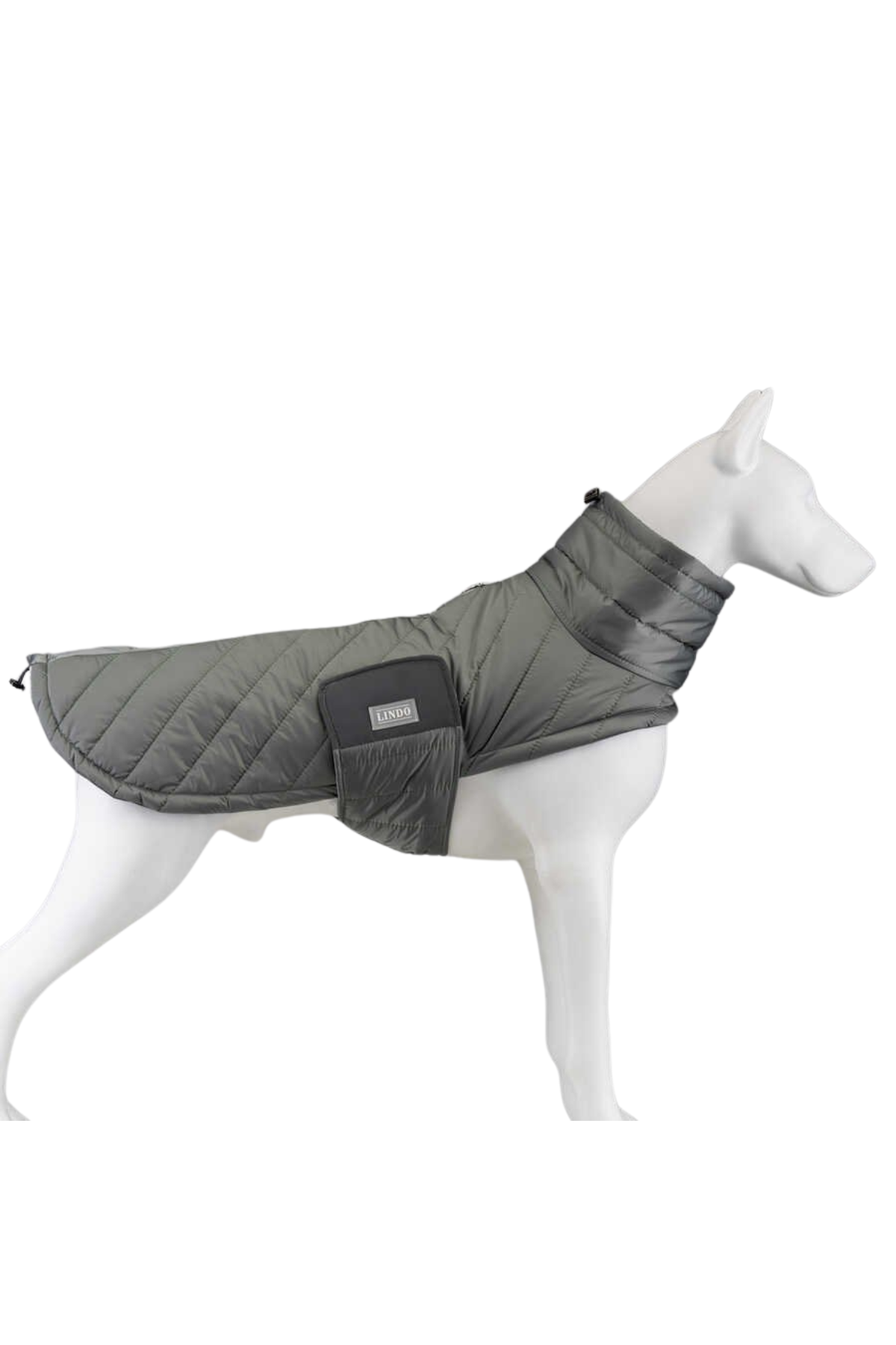 Lindo Air Puff Special Green Köpek Montu Beden