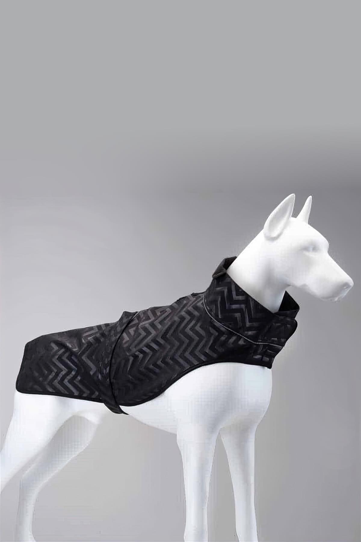 lindodogs-softshell-black-stripe-kucuk--e55c9.jpg