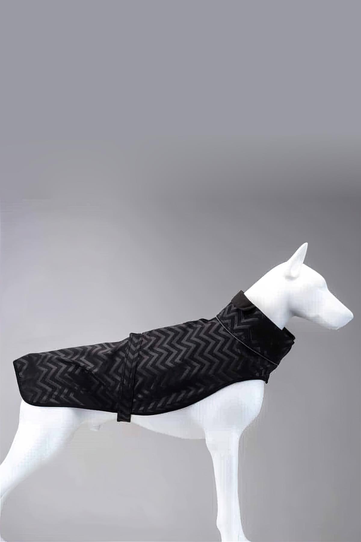 lindodogs-softshell-black-stripe-kucuk-95f4b2.jpg