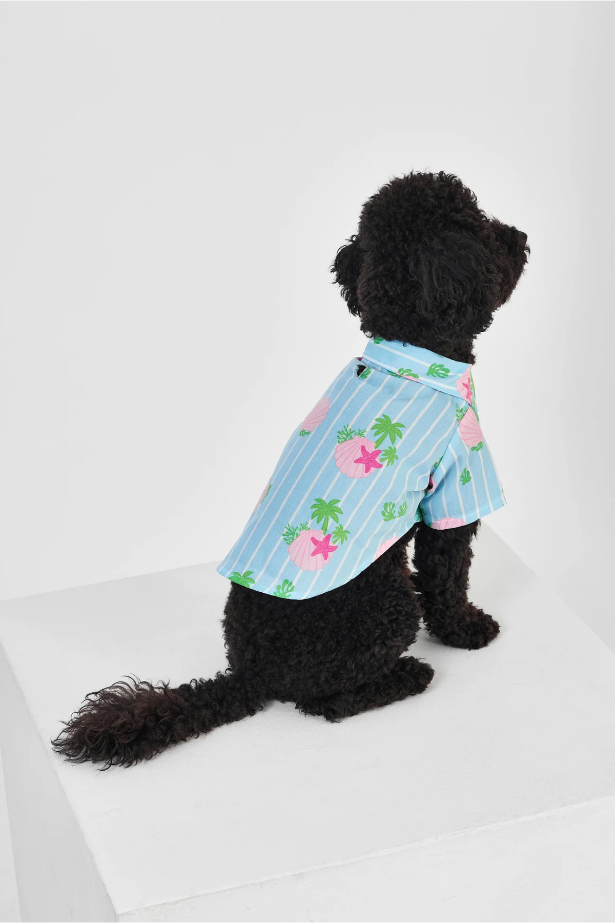 Little Monsters Blue Striped Gömlek