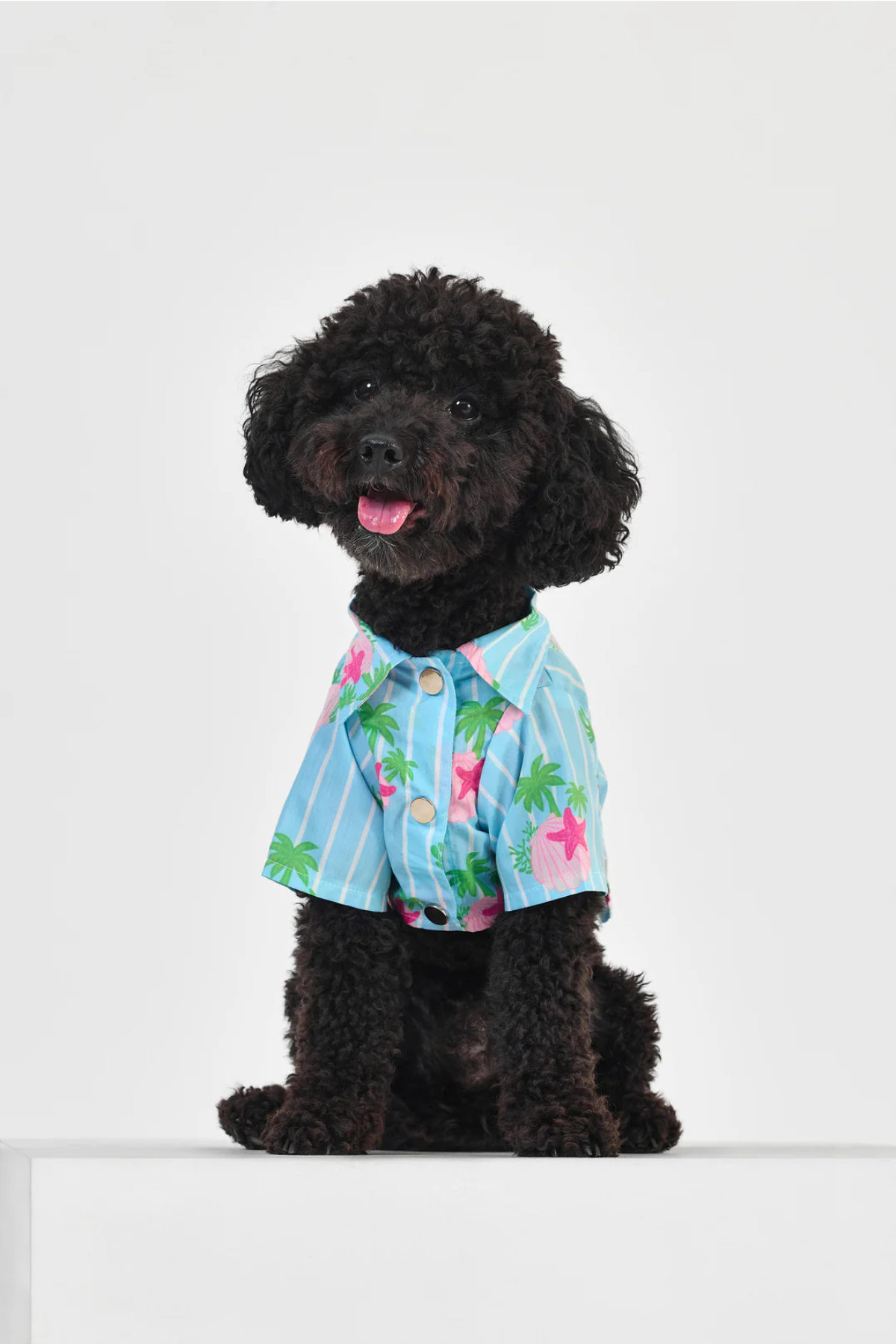 Little Monsters Blue Striped Gömlek