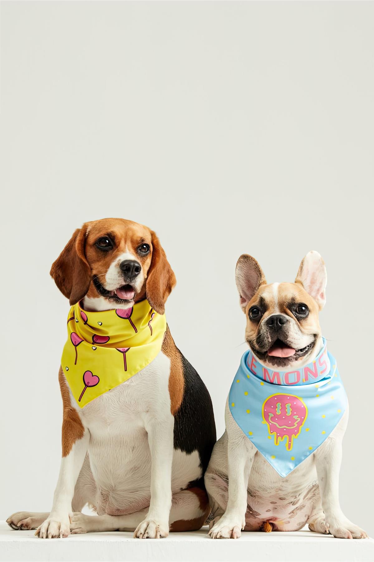 little-monsters-hearts-candy-bandana-1c95-4.jpg