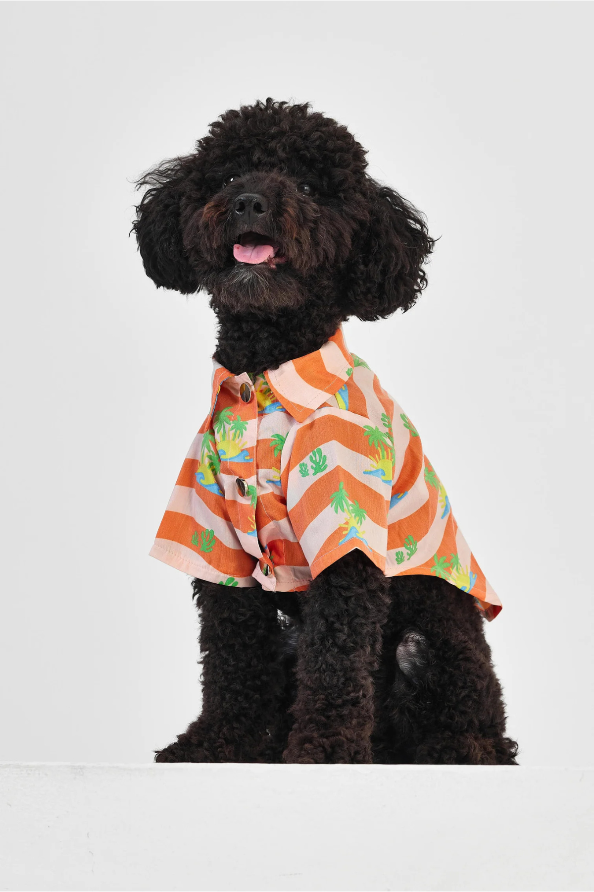 Little Monsters Orange Palm Gömlek