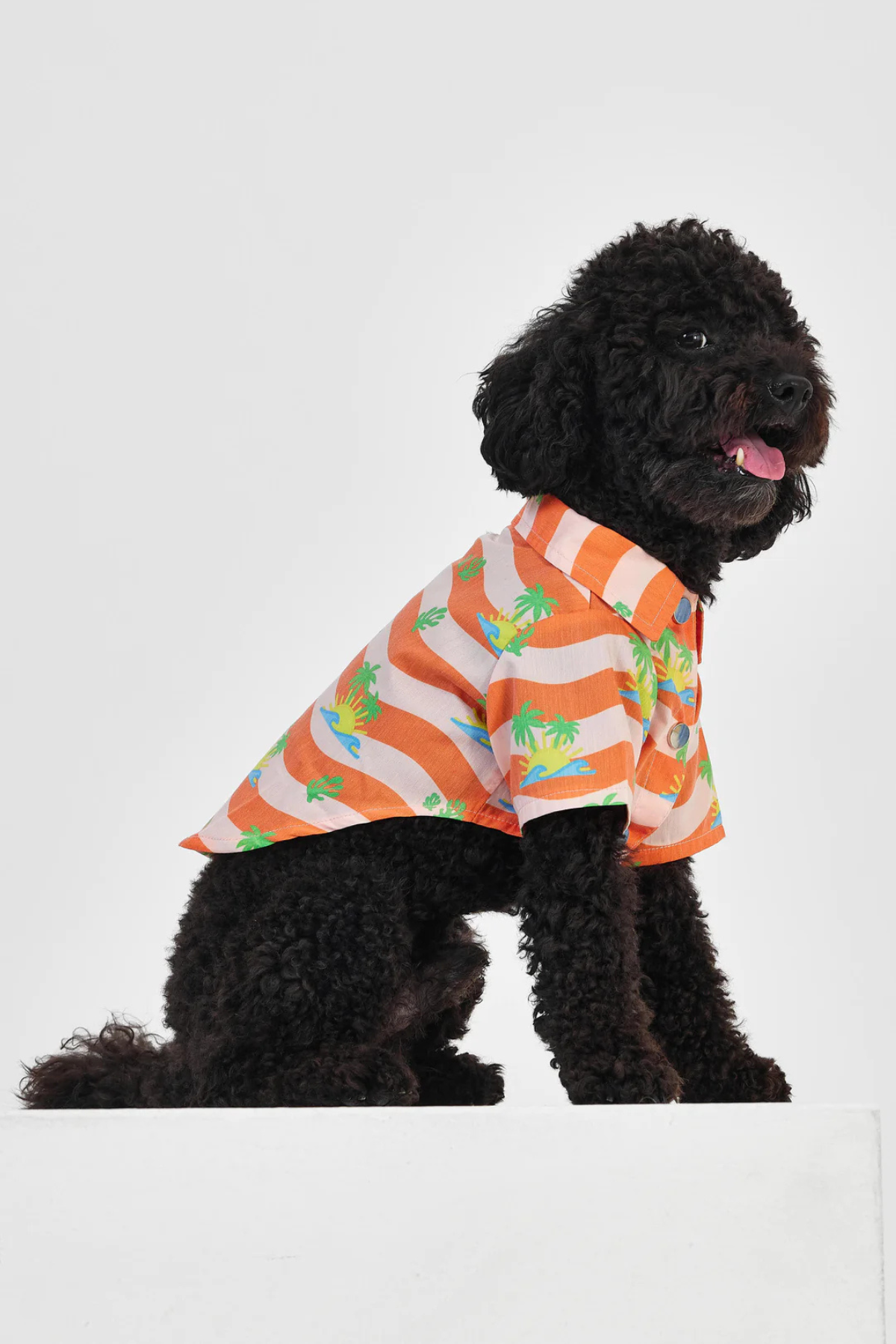 Little Monsters Orange Palm Gömlek