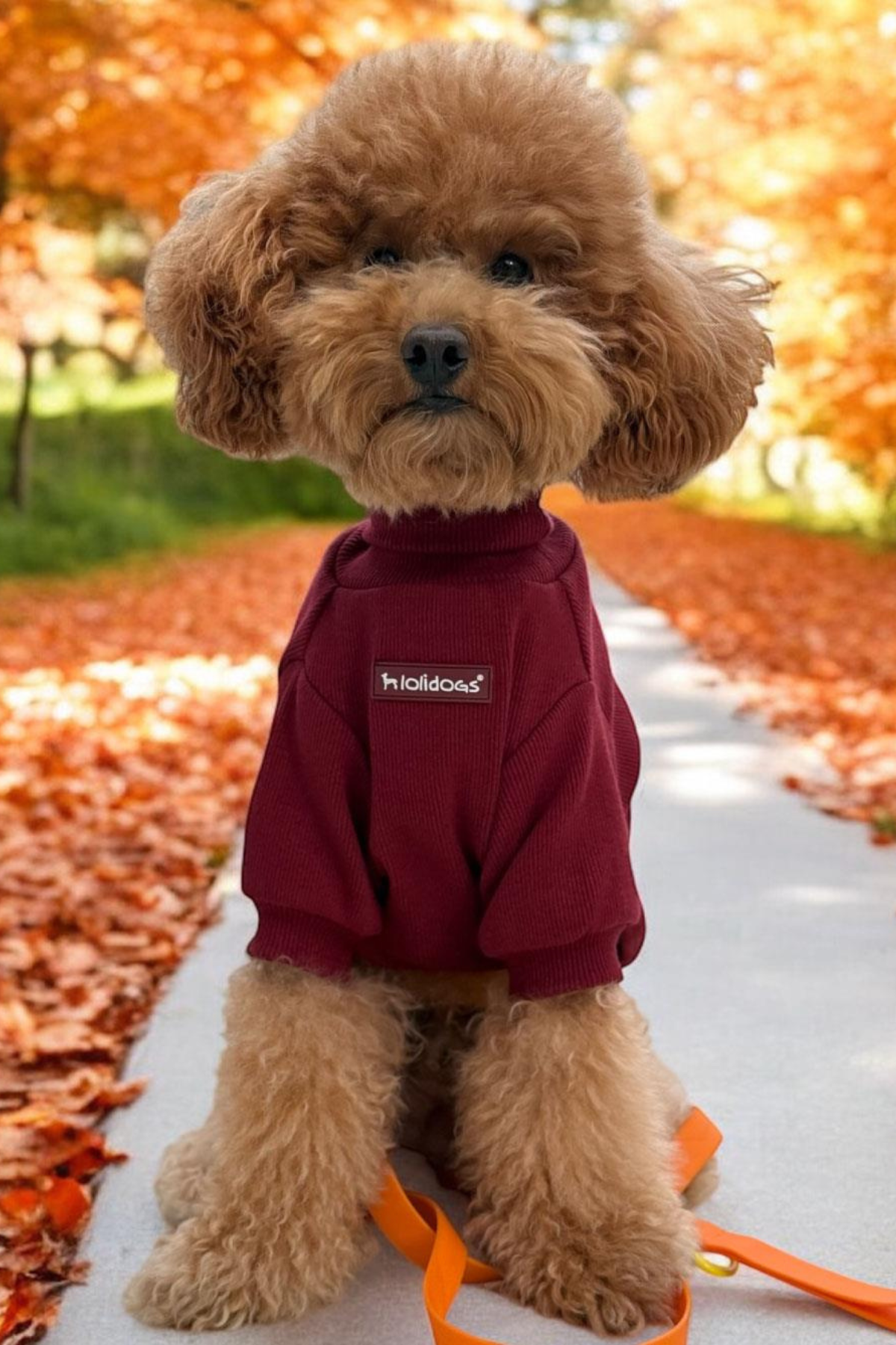 Lolidogs Balıkçı Yaka Basic Bordo