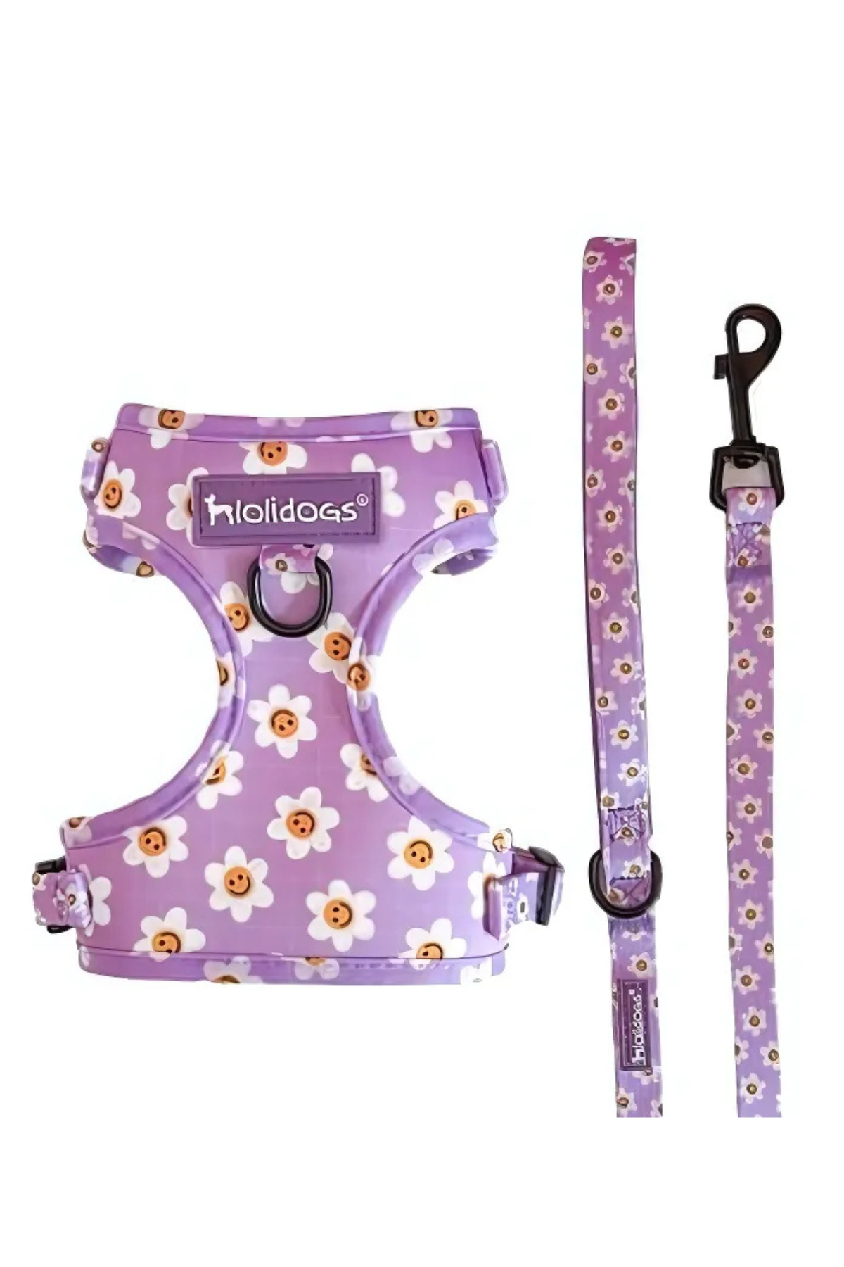 Lolidogs Daisy Harness Set