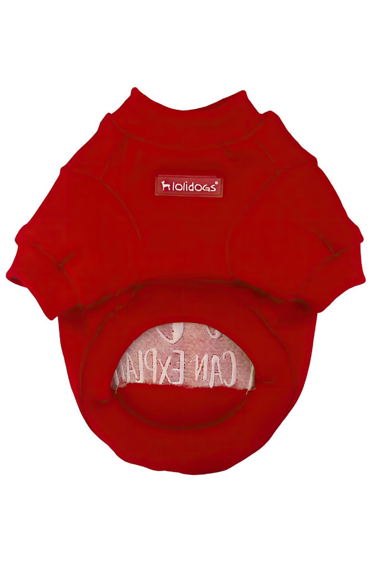 Lolidogs Dear Santa I Can Explain Köpek Basic Sweatshirt Kırmızı