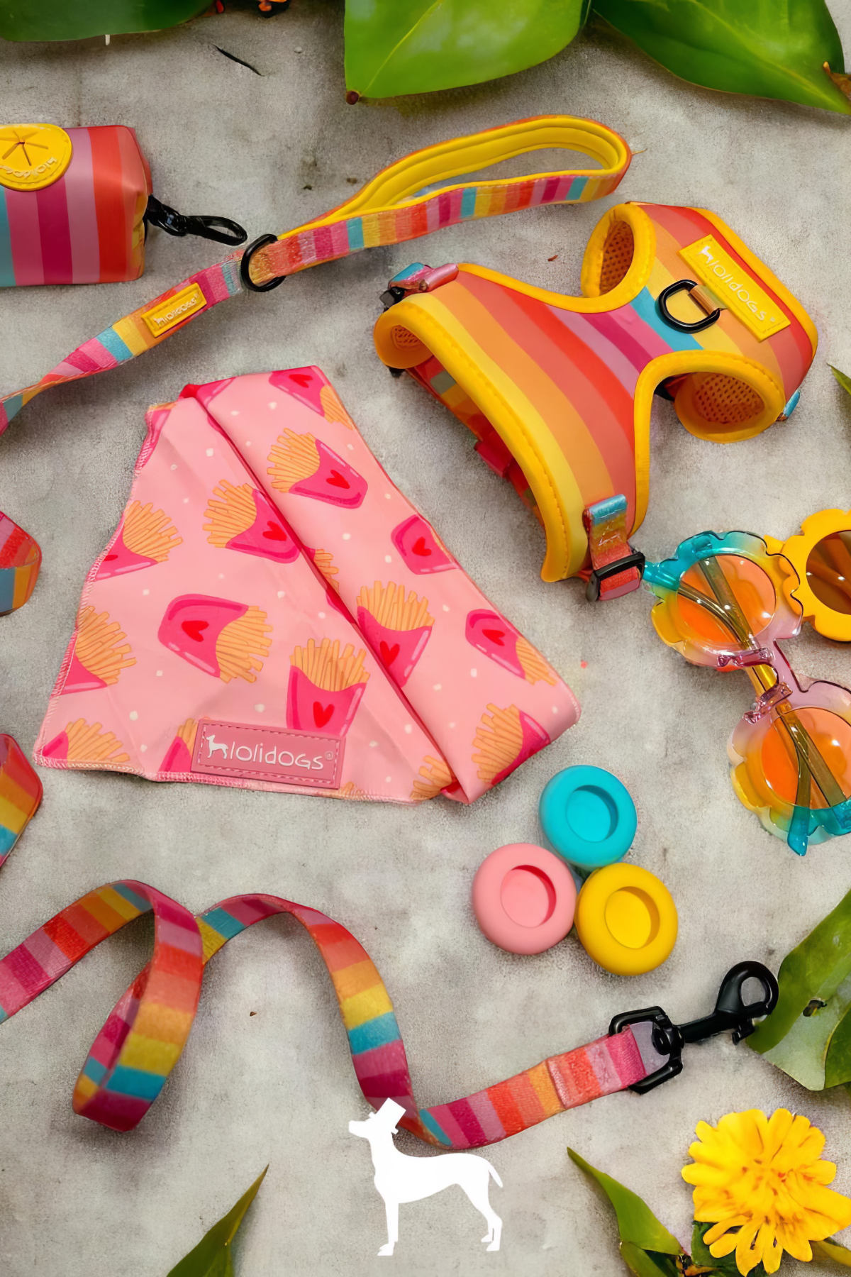 Lolidogs Rainbow Harness Set