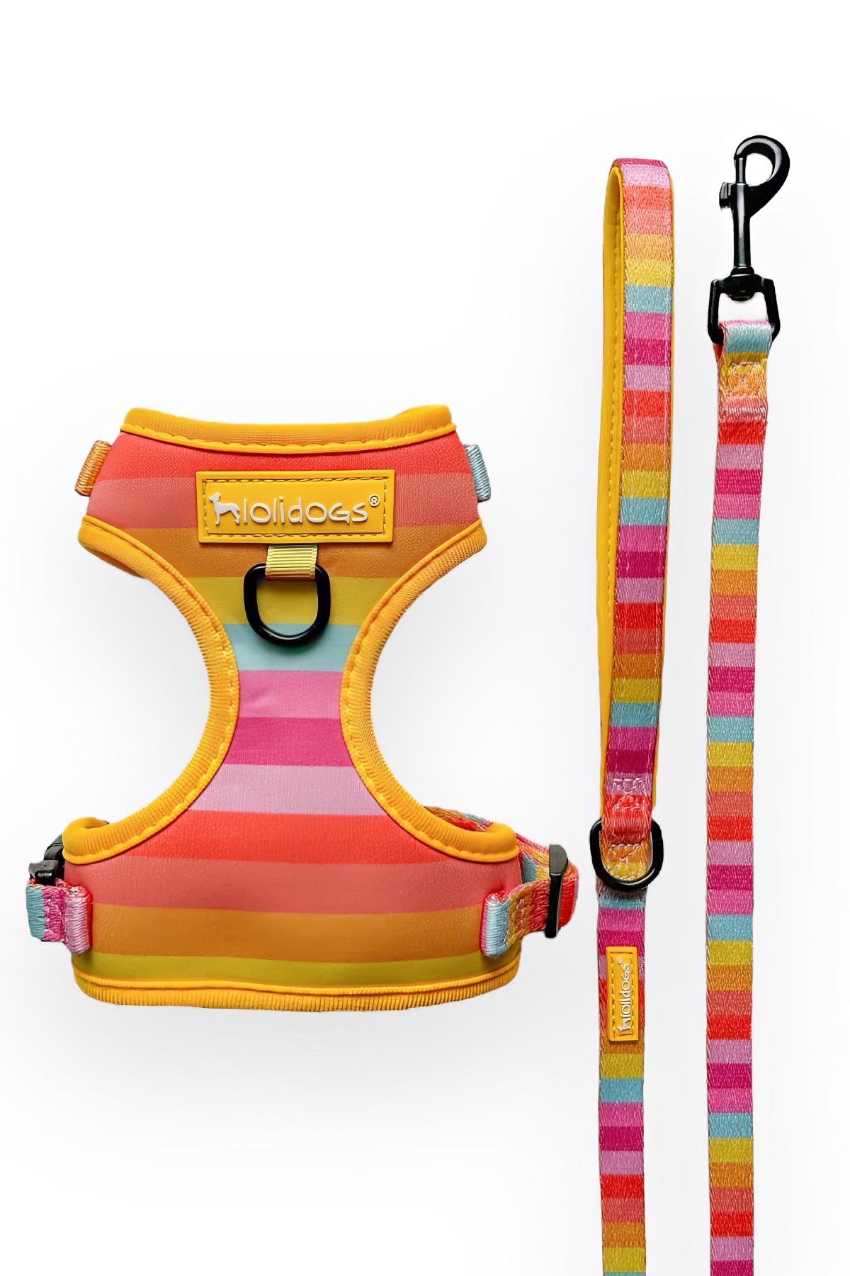 Lolidogs Rainbow Harness Set