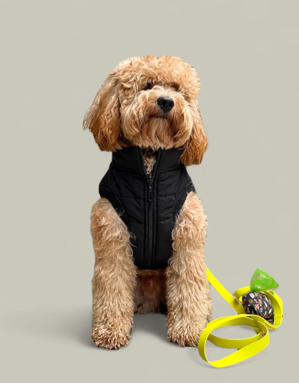 Lolidogs Rock Şişme Köpek Montu