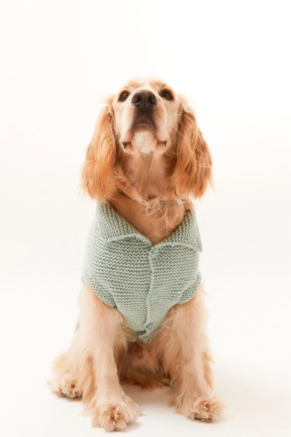 Lorico Örgü Yün Ceket Su Yeşili