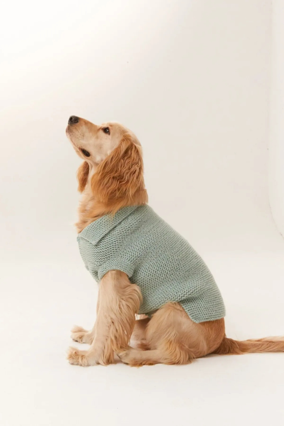 Lorico Örgü Yün Ceket Su Yeşili