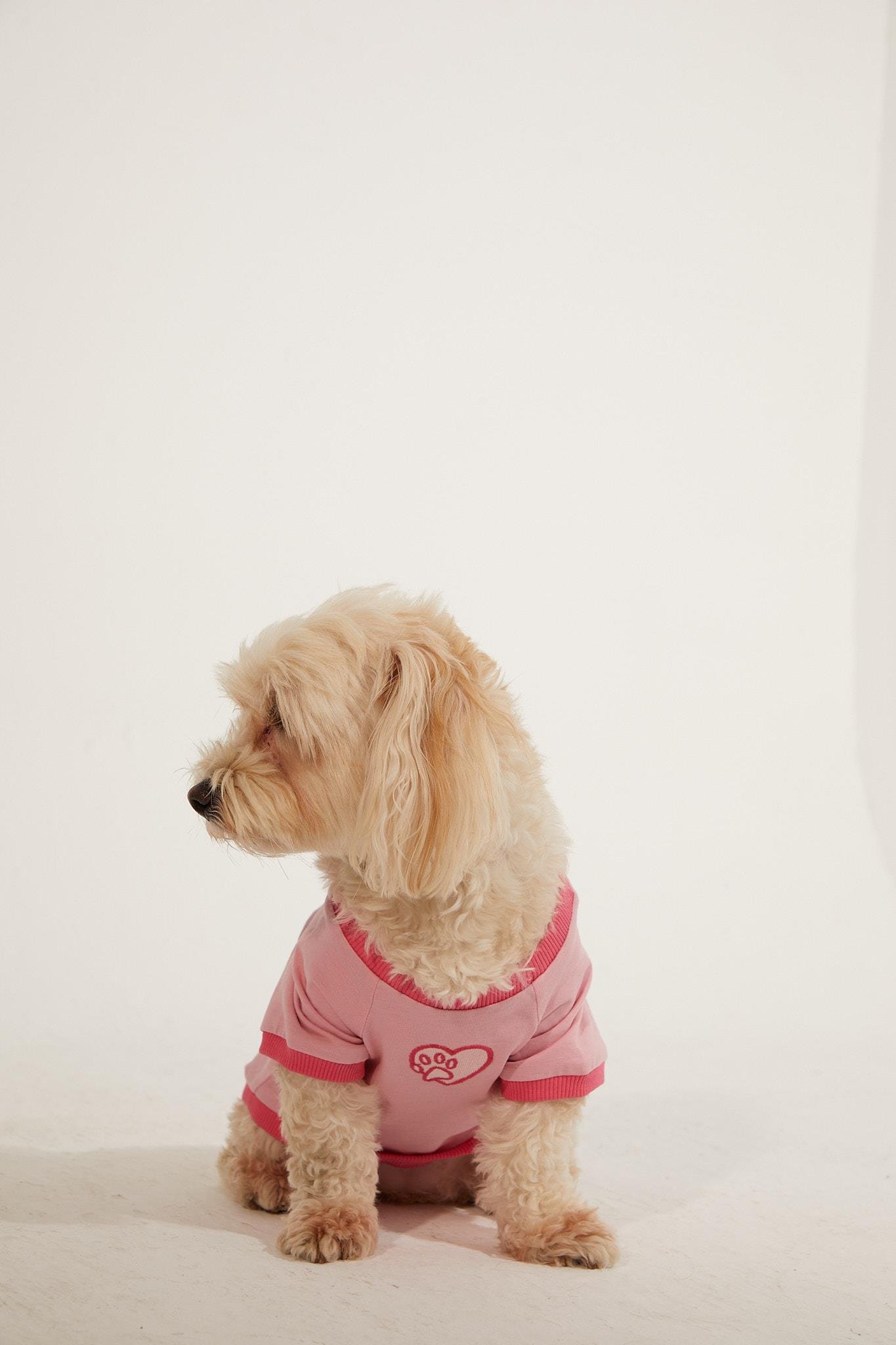 Lorico-Pet Amalfi T-Shirt - Pembe Köpek Kıyafeti