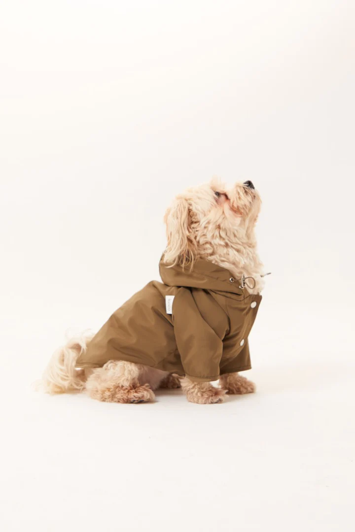 Lorico-Pet Torino Köpek Yağmurluk - Haki