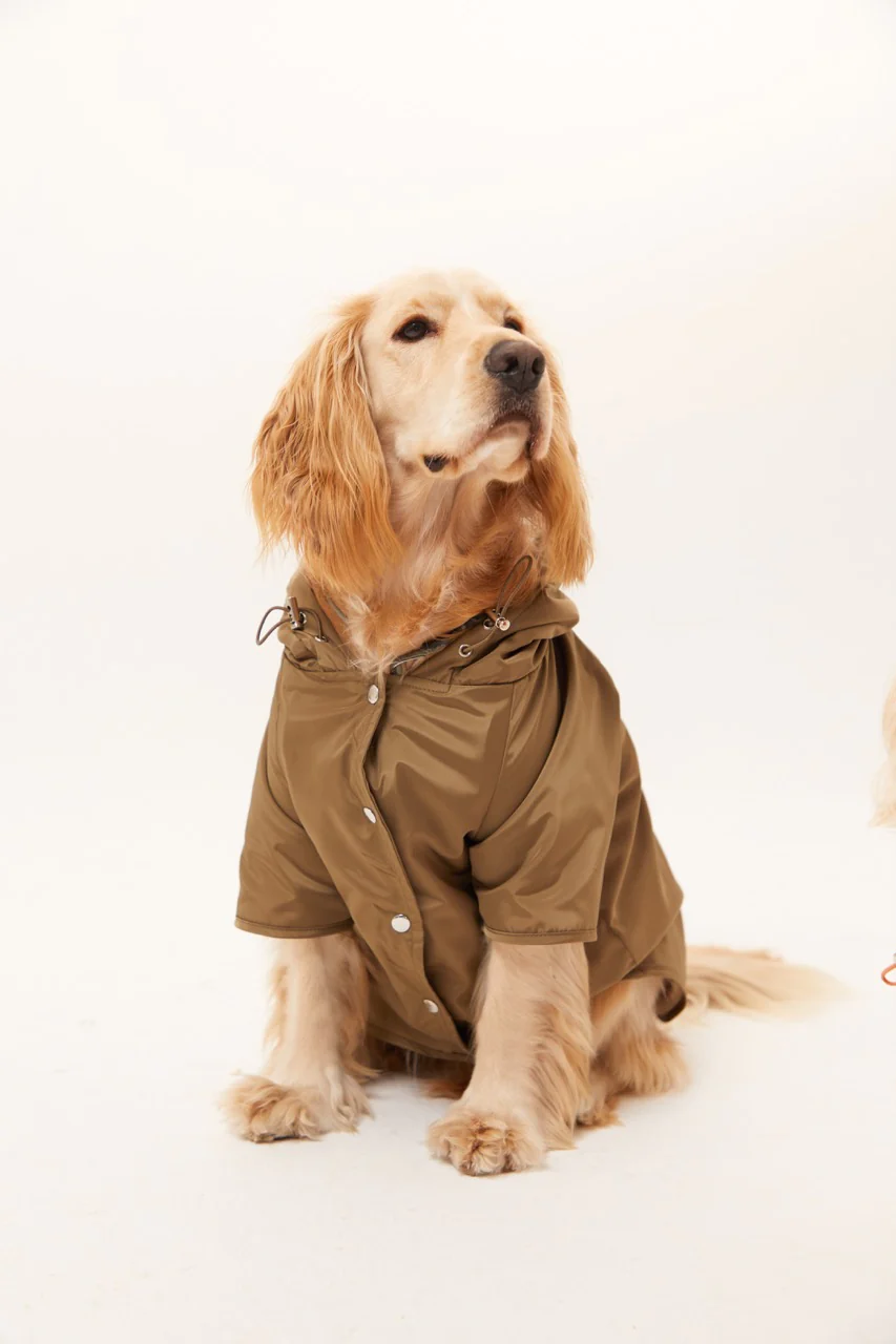 Lorico-Pet Torino Köpek Yağmurluk - Haki